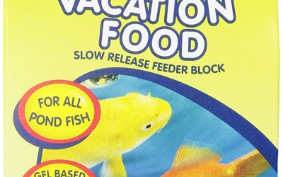 TetraPond 16477 Vacation Food Slow Release Feeder Block, 3.45 Ounce