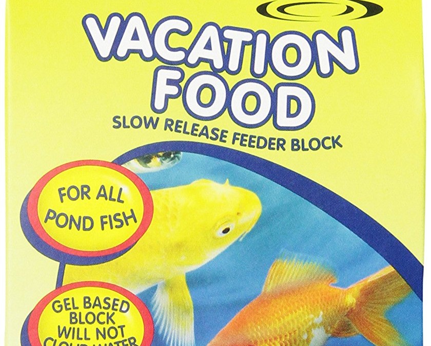 TetraPond 16477 Vacation Food Slow Release Feeder Block, 3.45 Ounce